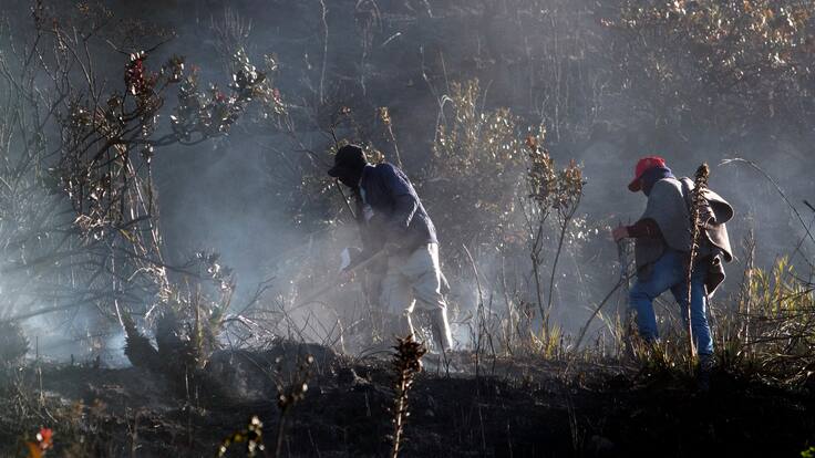 “Esta condición la preveíamos, pero no tan extrema”: UNGRD sobre incendios