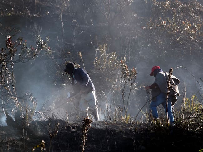 AME1862. SANTURBÁN (COLOMBIA), 24/01/2024.- Campesinos combaten hoy un incendio forestal cerca al páramo de Berlín en el nudo de Santurbán, en Santander (Colombia). Decenas de hectáreas de vegetación de alta montaña han sido consumidas por un incendio en el páramo de Berlín, crucial para el abastecimiento de agua potable del noreste de Colombia, informaron este miércoles las autoridades. El páramo de Berlín hace parte del sistema de páramos de Santurbán, una de las principales reservas de agua potable del país y está incluido entre los Parques Nacionales. EFE/ Mario Caicedo