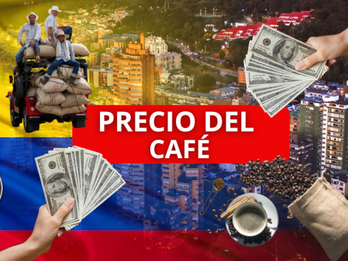 Precio del café para HOY en Colombia, 9 de septiembre, según la Federación Nacional de Cafeteros