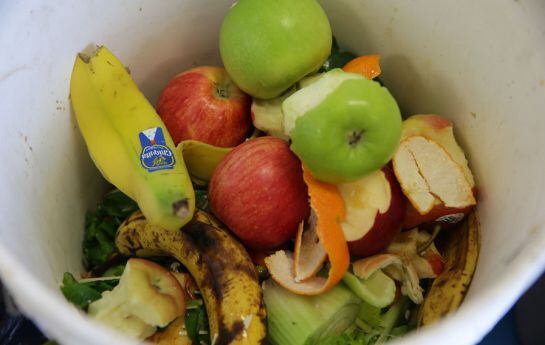 El desperdicio de alimentos se ha convertido en uno de los causantes del cambio climático. anualmente se pierden 2,5 millones de toneladas de alimentos.