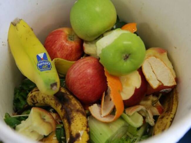 El desperdicio de alimentos se ha convertido en uno de los causantes del cambio climático. anualmente se pierden 2,5 millones de toneladas de alimentos.