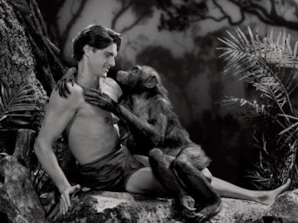 Muere la mona Chita, la inolvidable acompañante de Tarzán