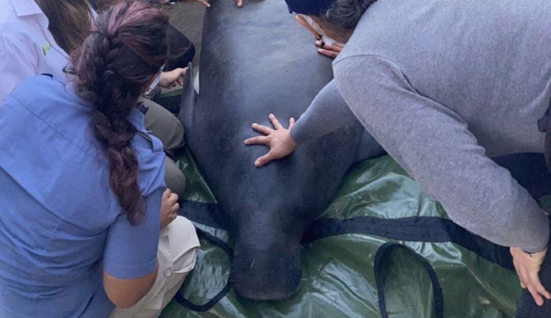 El día de la liberación de 'Julieta', antes de lo ocurrido con pescadores en Tasajera