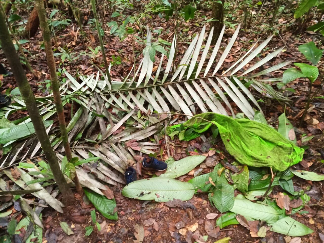 Cortesía: Fuerzas Militares.