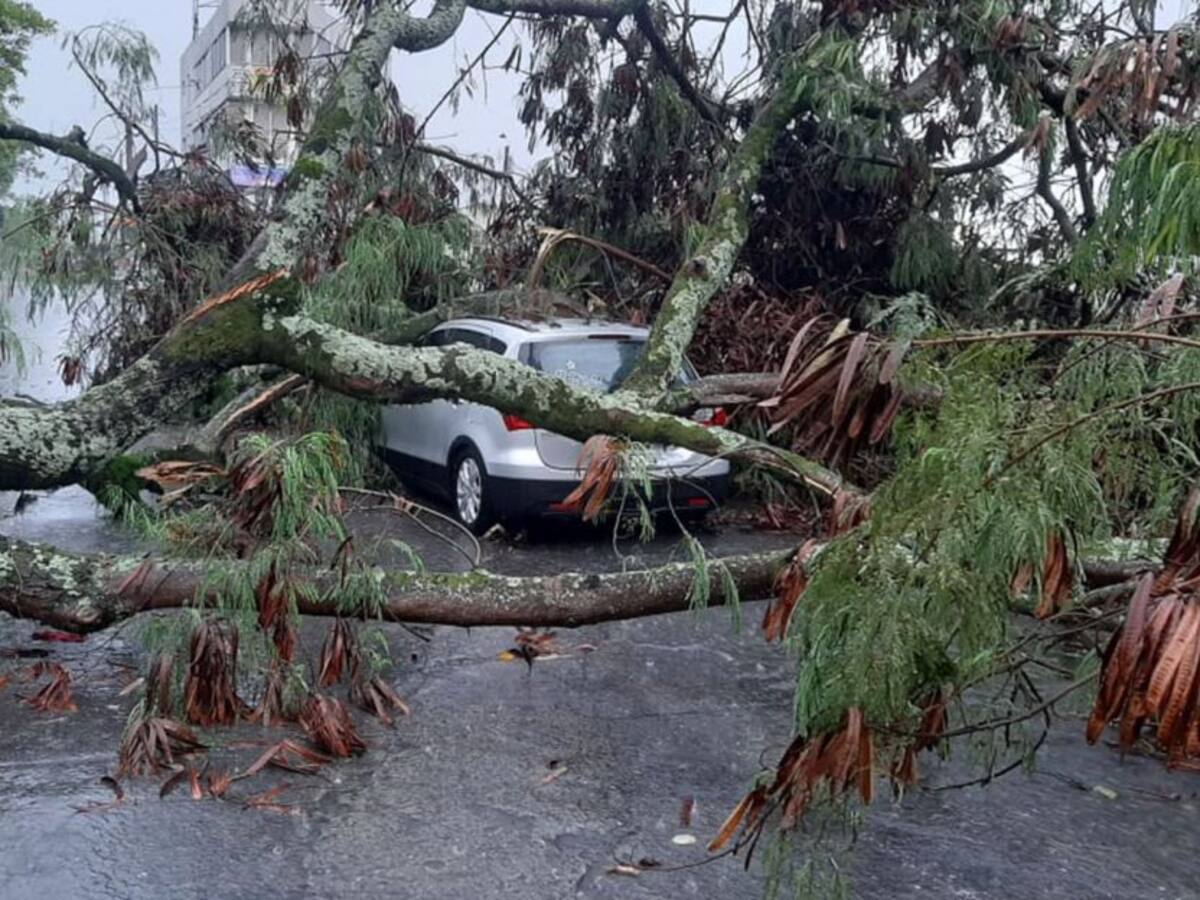 Torrencial aguacero generó varias emergencias en Ibagué