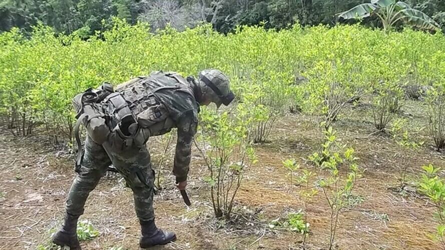 Más allá del acuerdo, las Farc son una empresa criminal de narcotráfico: Ernesto Garay. Foto: Colprensa