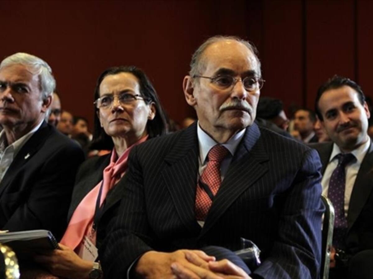 División liberal por referendo contra adopción gay