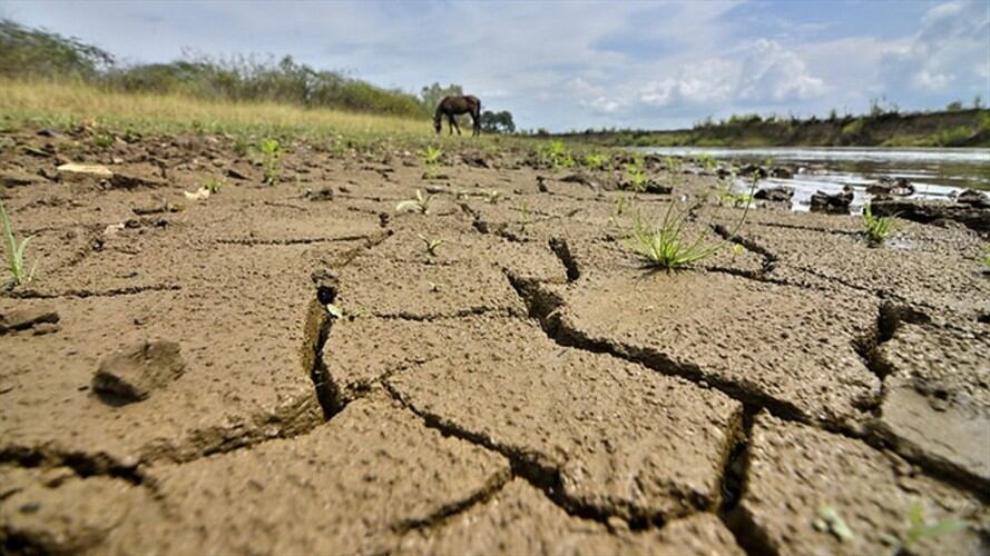 Imagen de referencia. Foto: Colprensa
