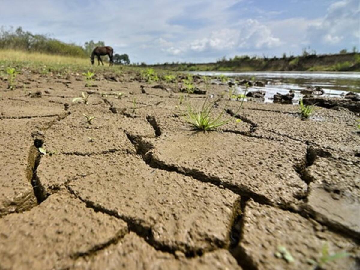 Más del 50% de la zona rural de Montería estaría afectada por la sequía
