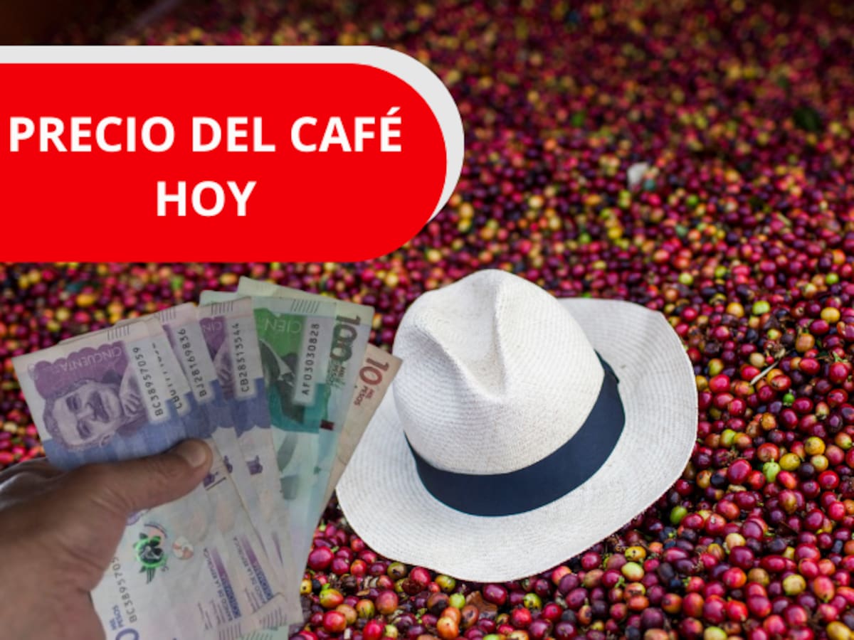 Precio del café HOY 9 de febrero en Colombia, según la FNC