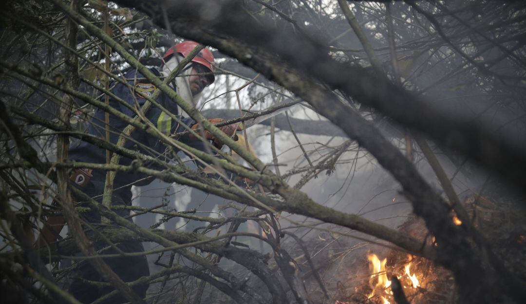 Imagen de referencia