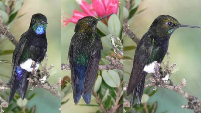 Unidos por la Biodiversidad de nuestro país.