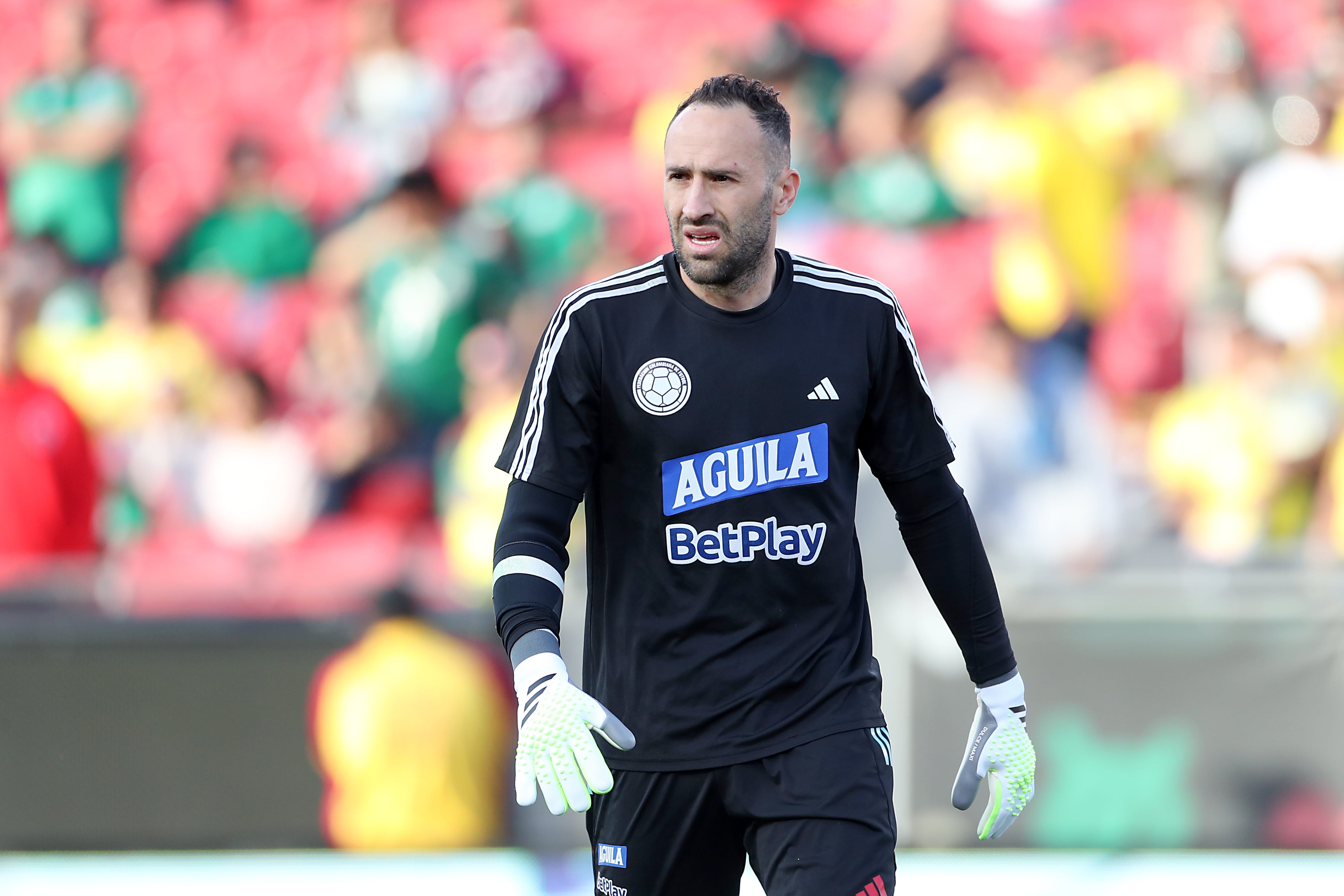 David Ospina en su regreso a la Selección Colombia | Foto: Omar Vega/Getty Images