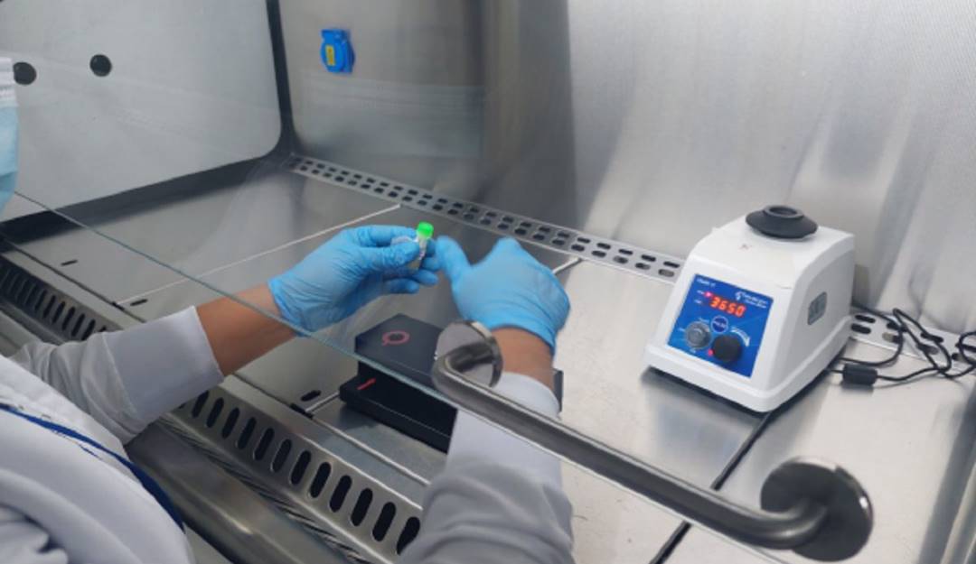 Crédito: Territorial de Salud de Caldas.