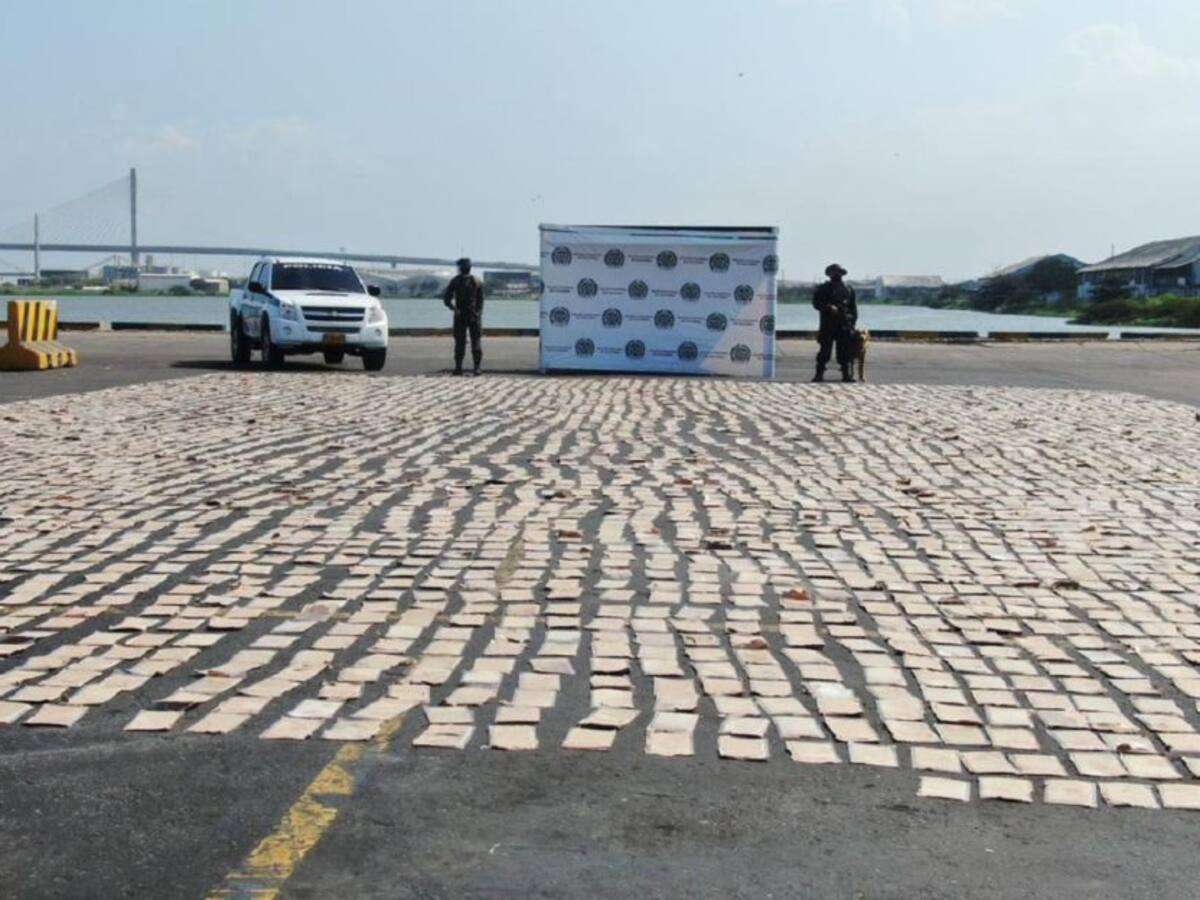 Canino detectó droga camuflada en frutas rumbo a Holanda desde Barranquilla