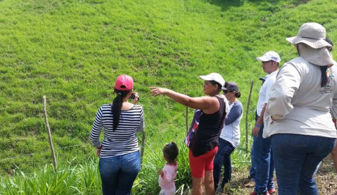 Restitución de tierras