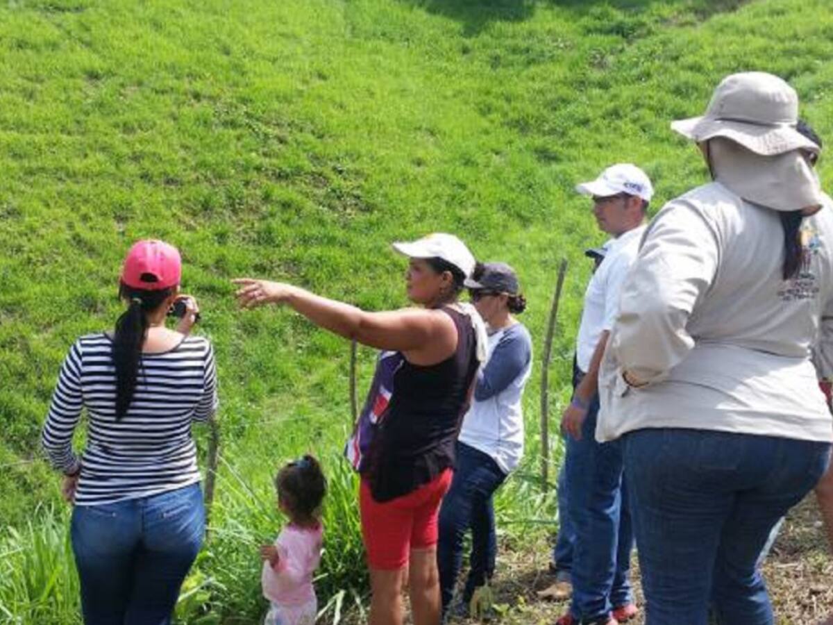 Aumentan municipios beneficiados con el proceso de restitución de tierras