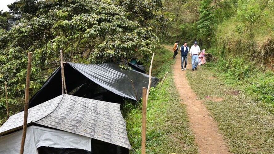 Gobierno oficializó a través de un decreto la creación de un Espacio Territorial de Capacitación y Reincorporación -Etcr- en dicho municipio.. Foto: Colprensa