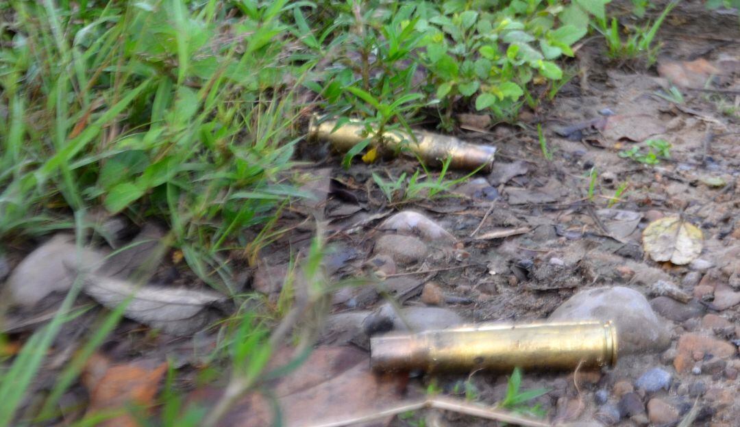 Imagen de referencia