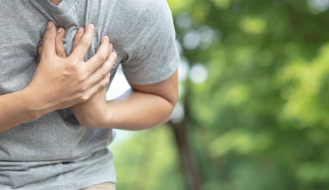 Imagen de referencia