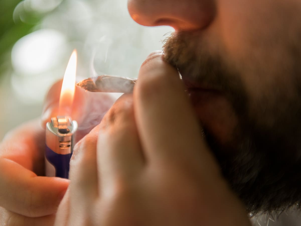 Marihuana y cocaína: Las sustancias más consumidas en Bogotá según Sec. de Salud