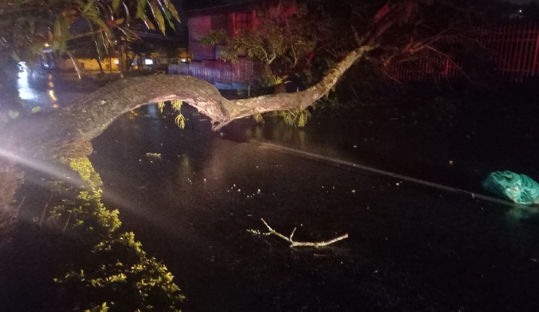 Fuertes lluvias Ibagué