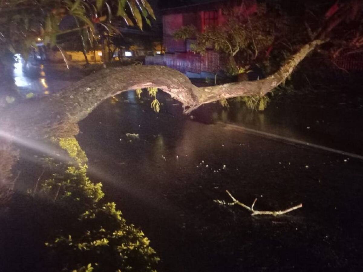 Varias emergencias en Ibagué por las fuertes lluvias