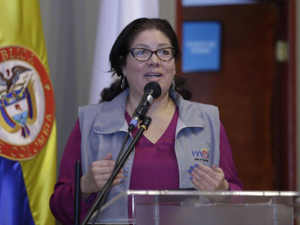 Los reparos de la MOE al proceso de elección de magistrados del CNE