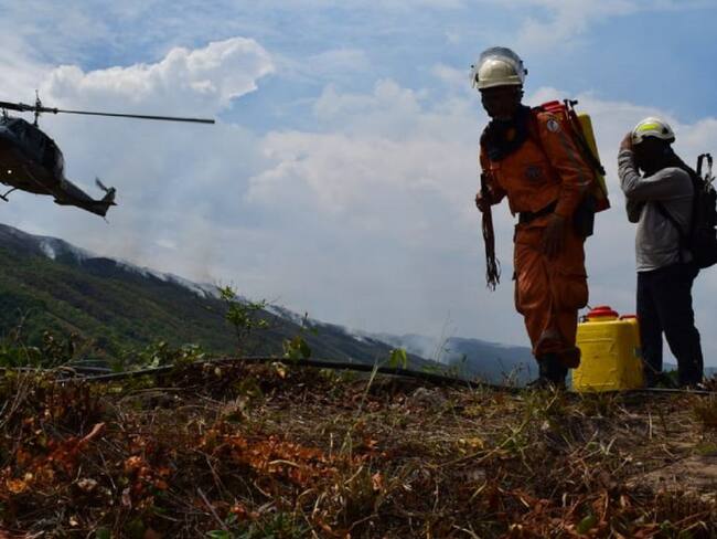 Incendios forestales aumentan enfermedades virales en Tolima