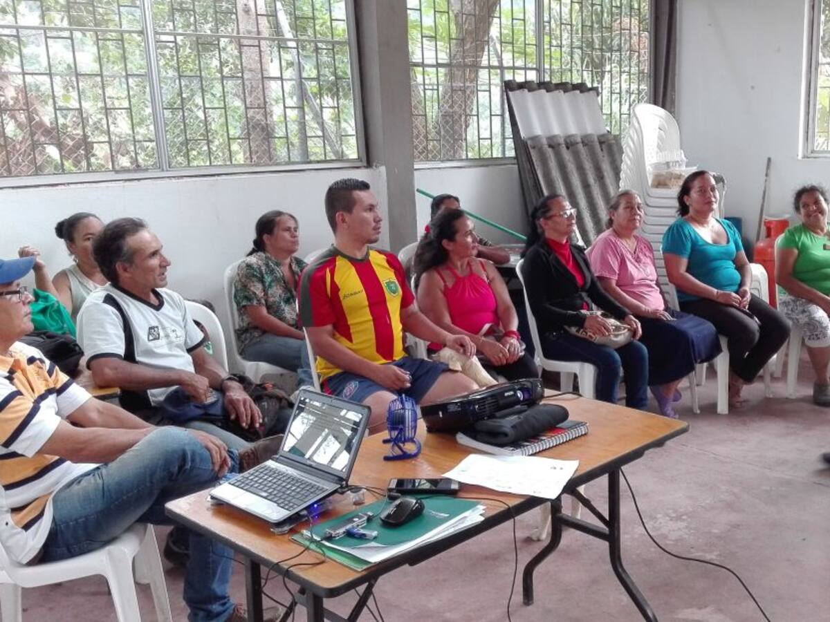 Las cooperativas, buena opción para el éxito en el campo