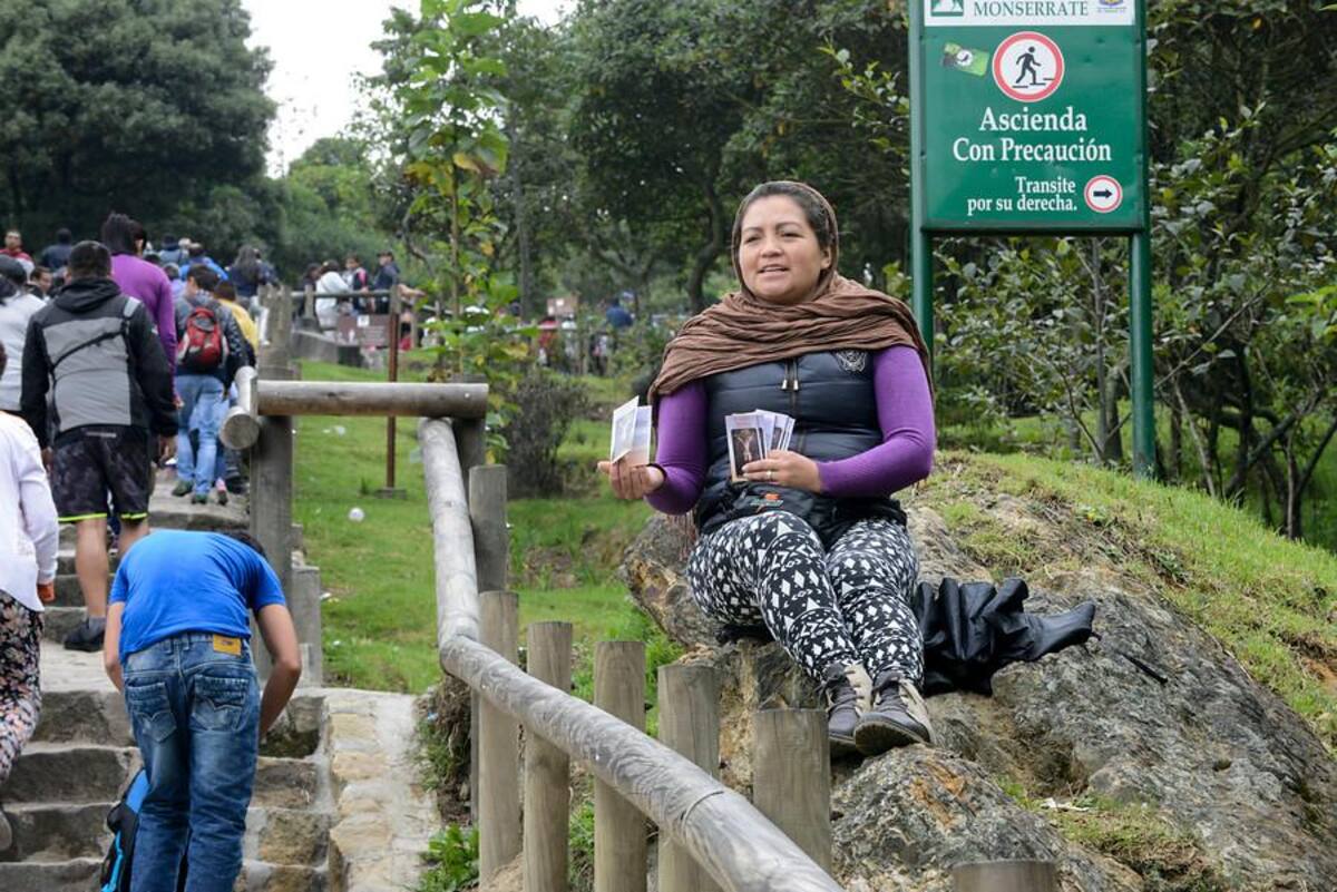 Se han registrado miles de visitantes, un promedio de 3.000 personas por hora, es decir unos 50 personas por minuto. Se espera que el total de las visitas sea alrededor de 65.000.