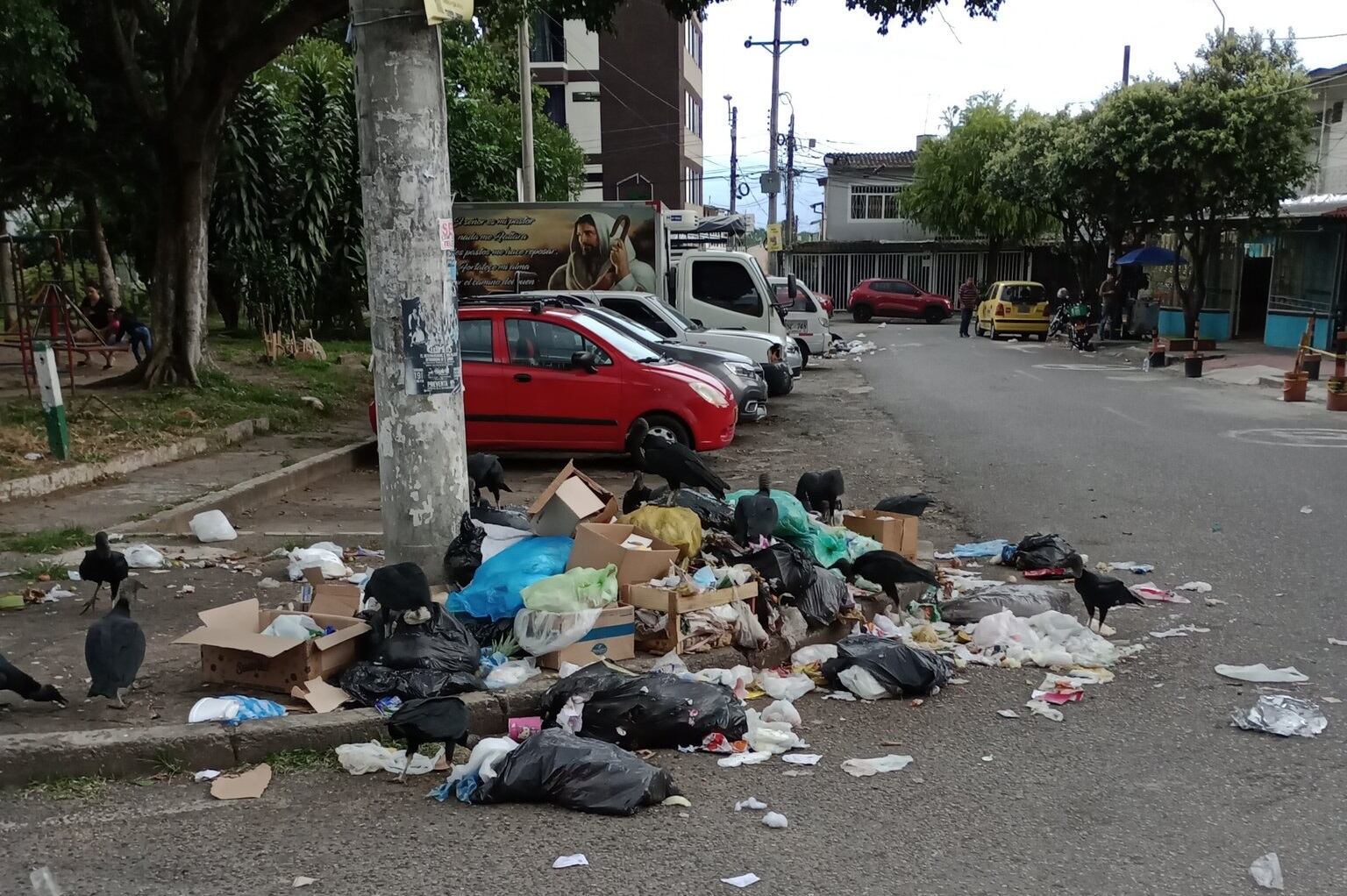 Deficiencias en la recolección de basuras en Montería.