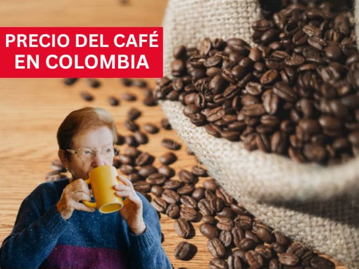 Precio del café en Colombia HOY 15 de diciembre: comienza esta semana con una nueva caída