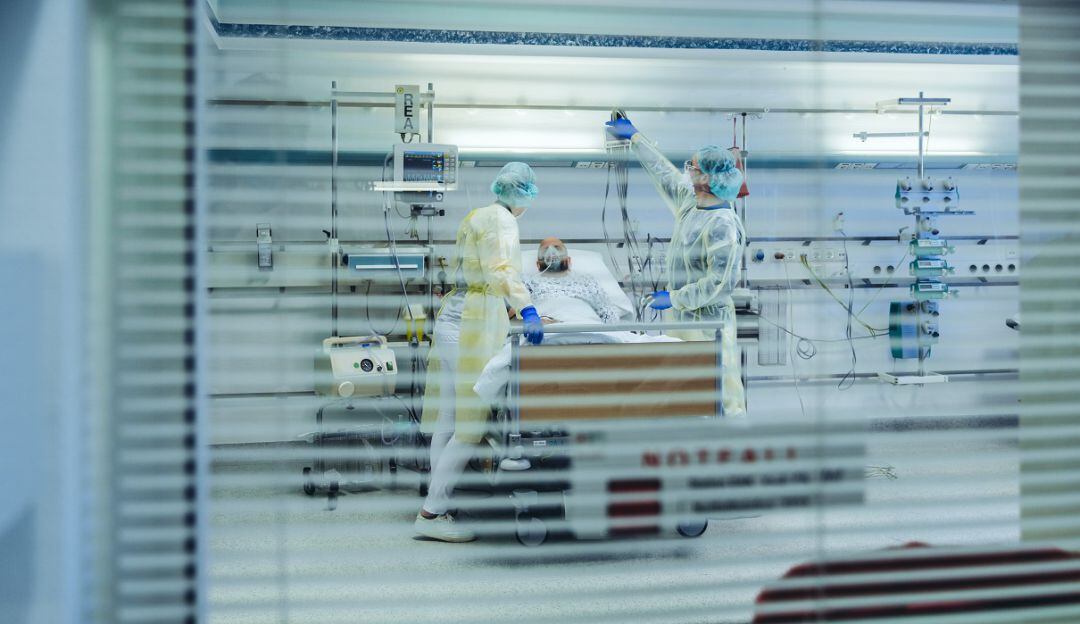 Imagen de referencia.