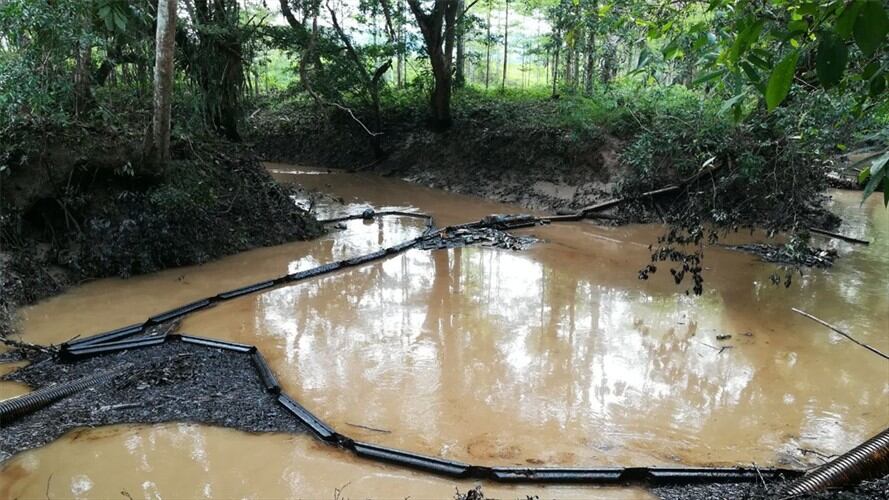 Más de 16.000 cabezas de ganado no tienen agua por emergencia en Barrancabermeja. Foto: La Wcon Julio Sánchez Cristo