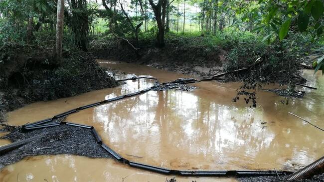 Más de 16.000 cabezas de ganado no tienen agua por emergencia en Barrancabermeja. Foto: La Wcon Julio Sánchez Cristo