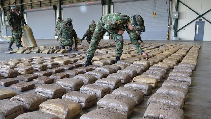 Decomisan más de una tonelada de marihuana de las disidencias de las Farc. Foto: Cortesía Ejército Nacional