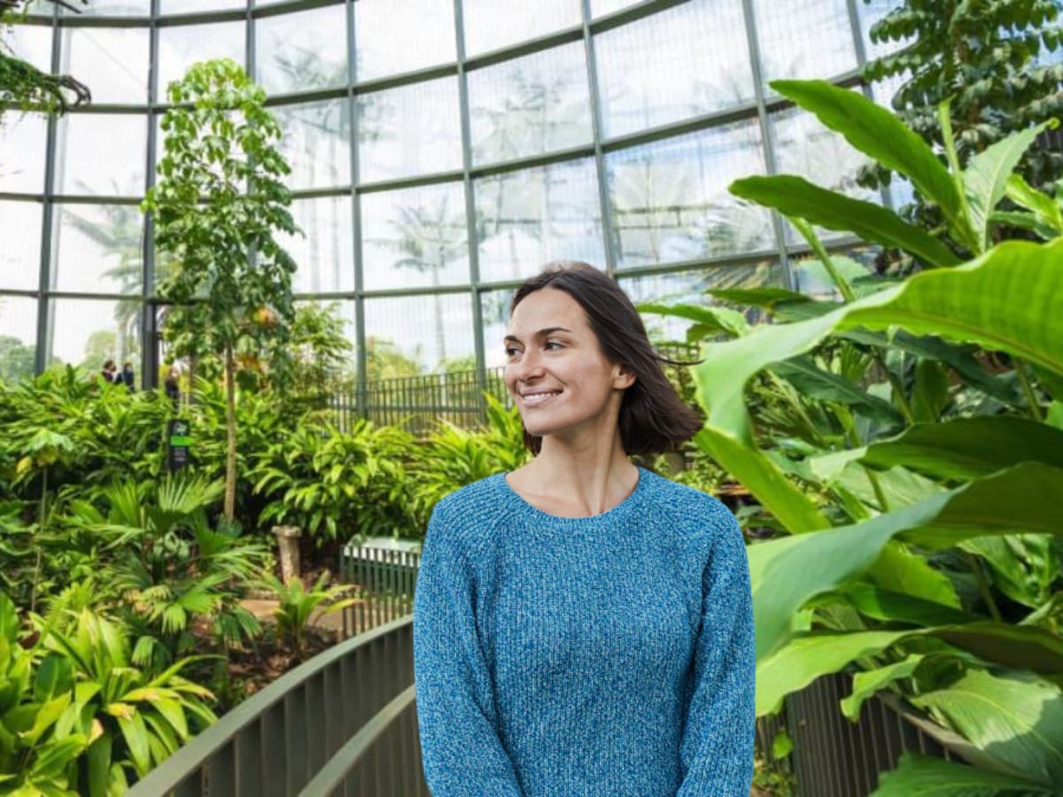 Semana Ambiental 2026 en Bogotá: Conozca el cronograma, actividades y horarios en el Jardín Botánico