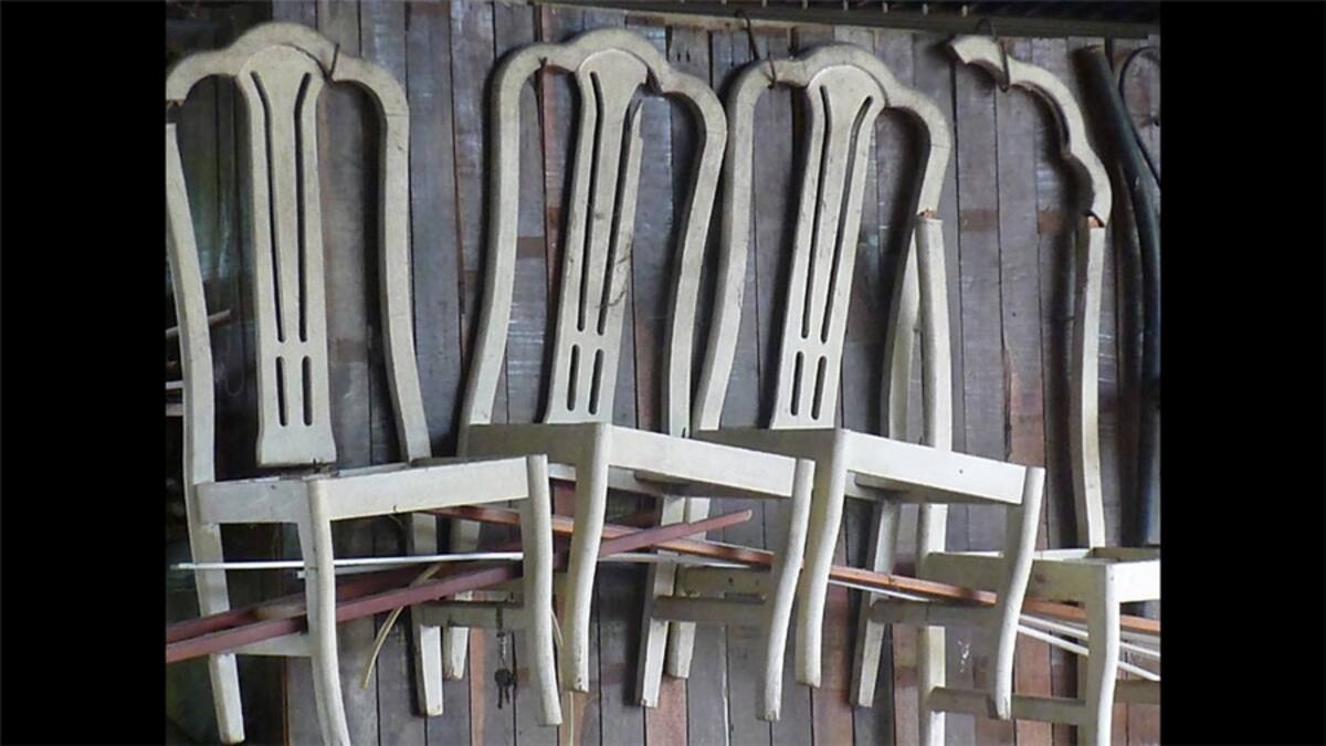 Un tema del mes de junio fue "Cosas chicas": Este pequeño caracol tiene mucho hambre, dice Harald Haspl en Reino Unido.