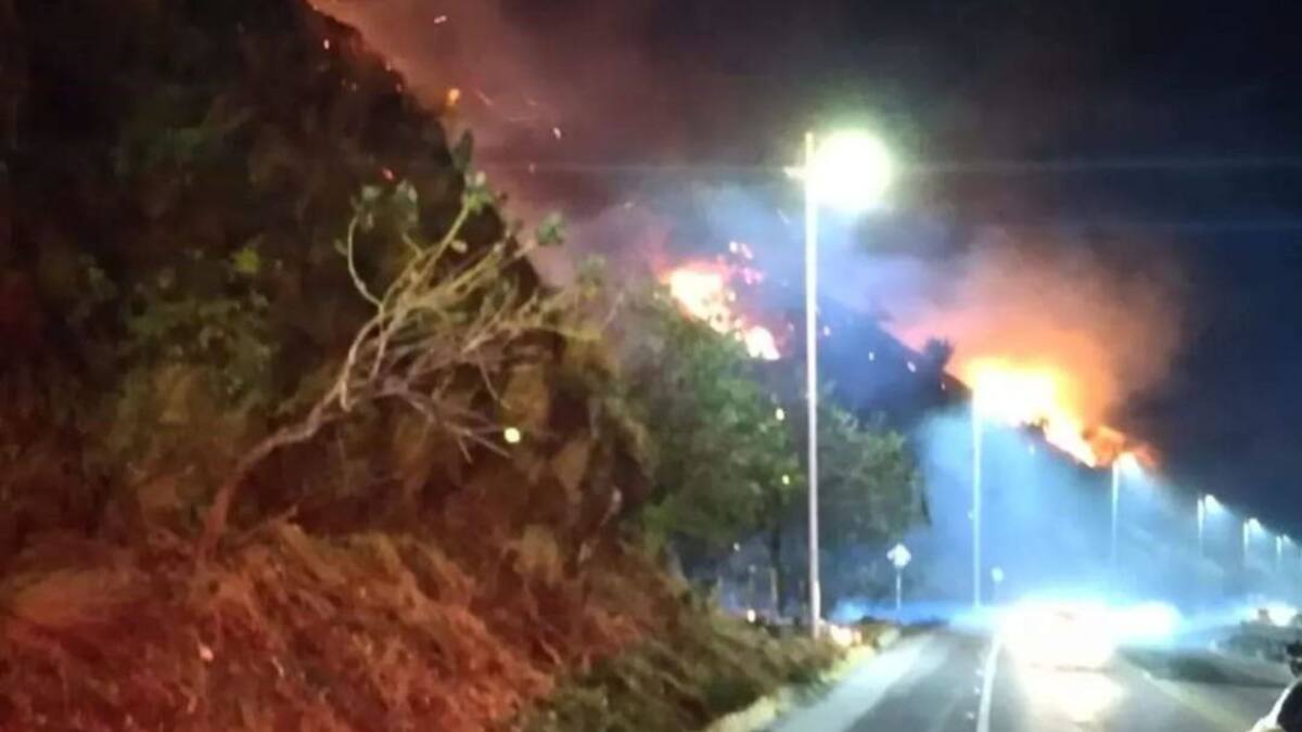 Bomberos liquidaron incendio forestal en cerro de Santa Marta