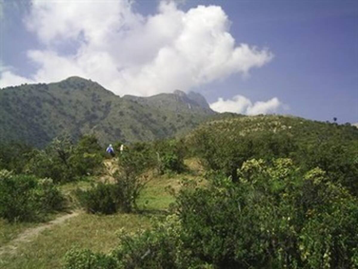 Perú hará inventario de bosques con 5 millones dólares y en plazo de 2 años