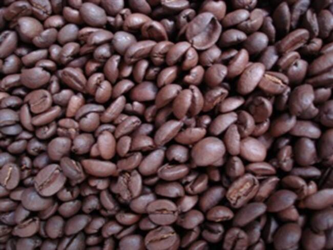 Producción de café cayó nuevamente en febrero, reveló la Federación de Cafeteros