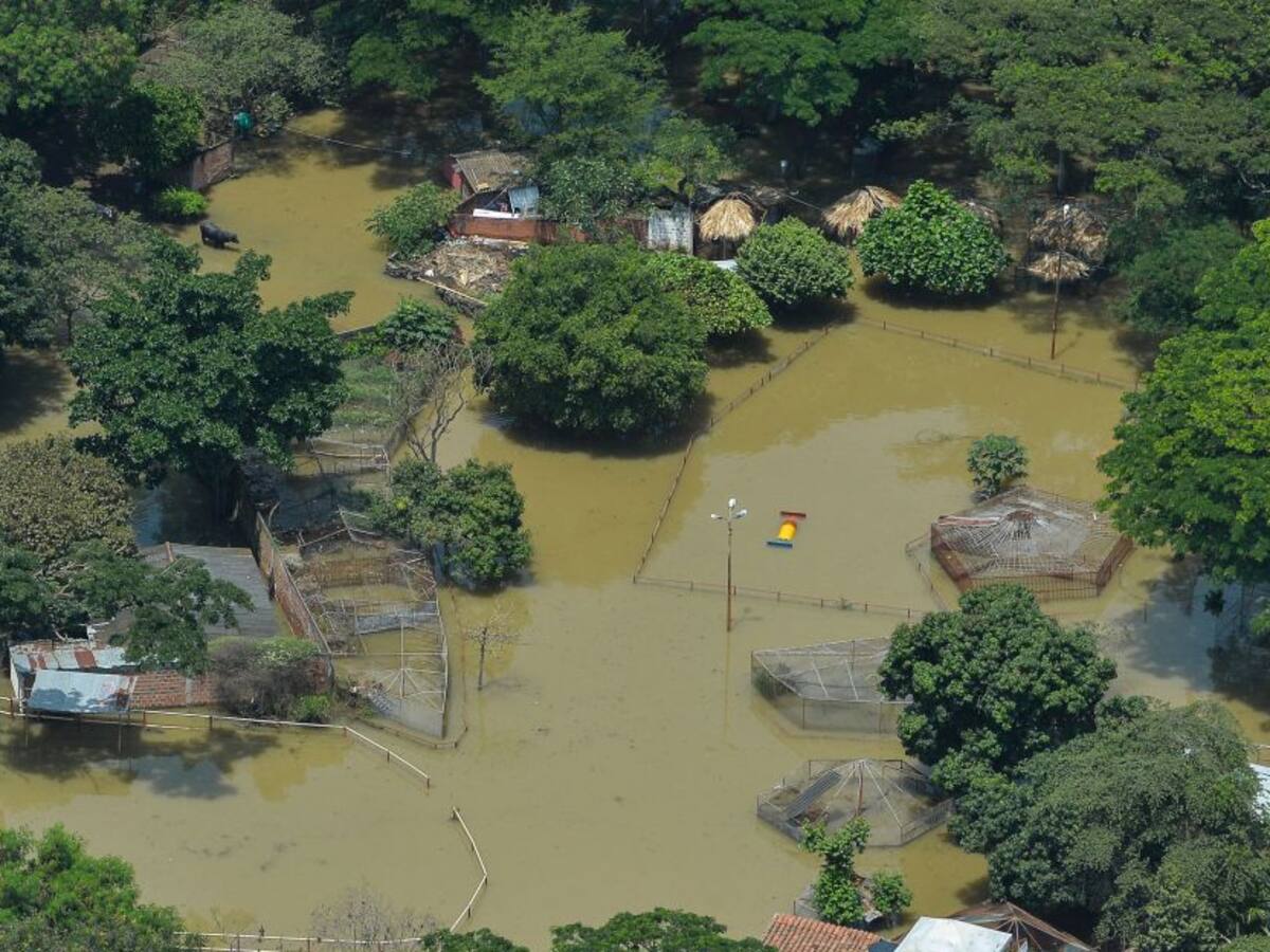 Recomendaciones para enfrentar en el campo la fuerte temporada de lluvias