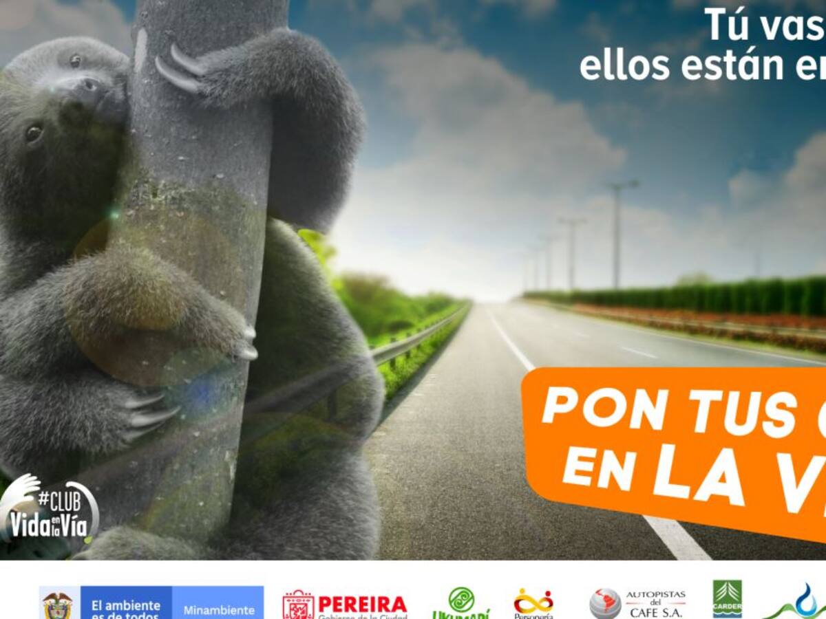 Caldas, Quindío y Risaralda se unen para proteger la fauna en las vías