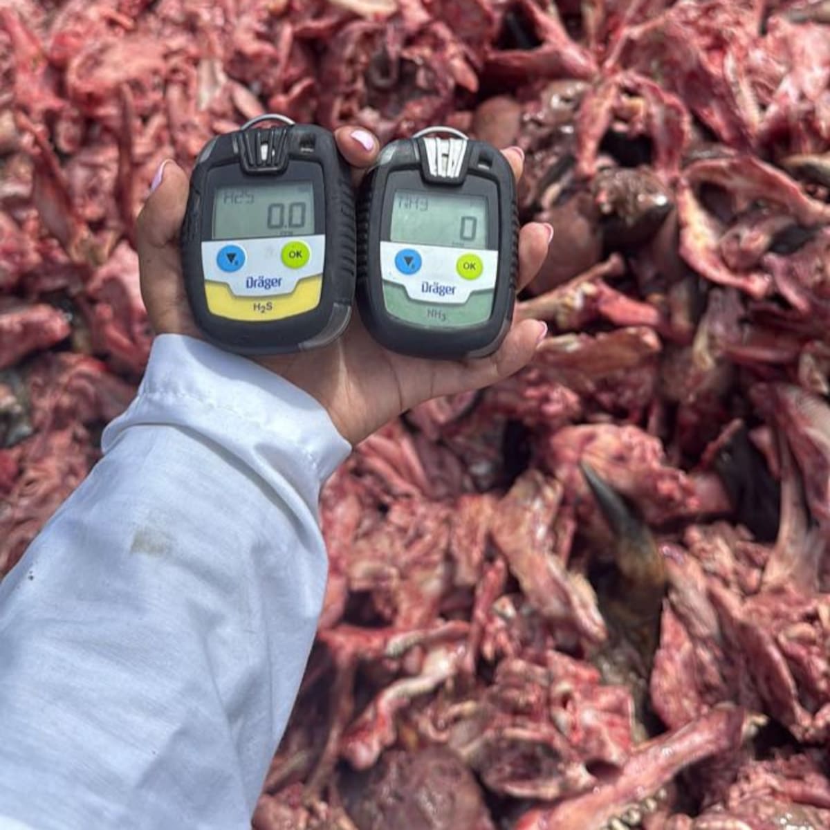 Medida por malos olores en Cali suspende recolección de residuos animales en cinco departamentos