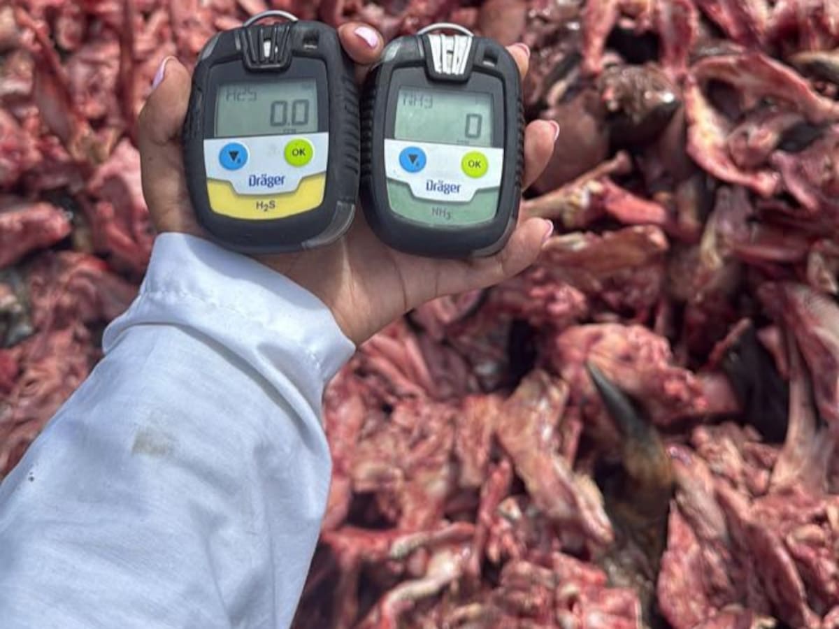 Medida por malos olores en Cali suspende recolección de residuos animales en cinco departamentos