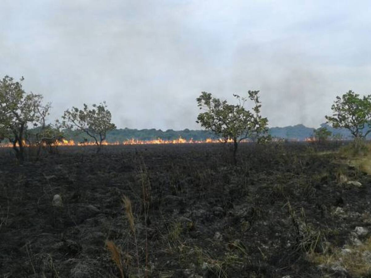 Incendios forestales obligan a evacuar familias en Boyacá