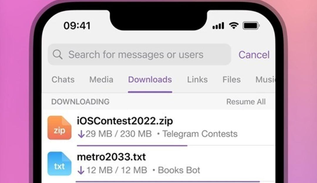 Gestor de descargas de Telegram
