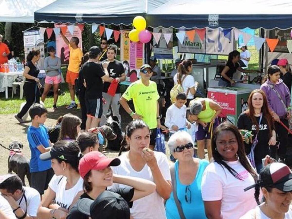 Primer Animal Fest, evento en pro de los animales abandonados en la ciudad