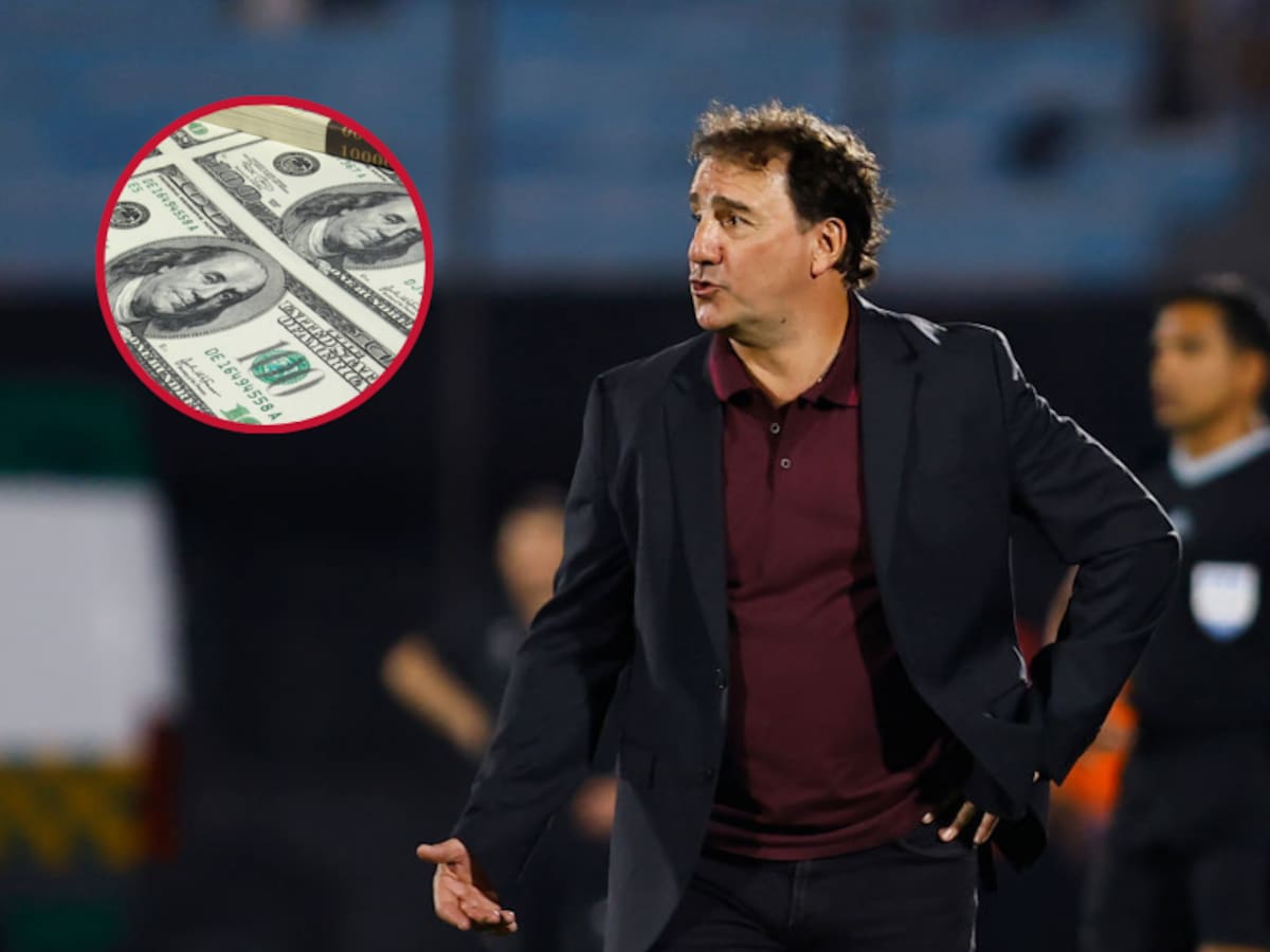 ¿Cuánto gana Néstor Lorenzo con la Selección Colombia? La millonaria cifra que recibe